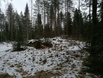 Nurkkalan mökistä Korppisella on jäljellä enää rauniokassa. Nurkkala oli Veikko Saringon perheen koti 1950-60 -luvuilla.