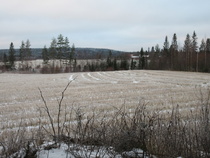 Partala häämöttää pellon ja lammen takana, Pikku-Korppinen.