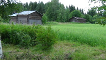 Kataalanmäen idylliä